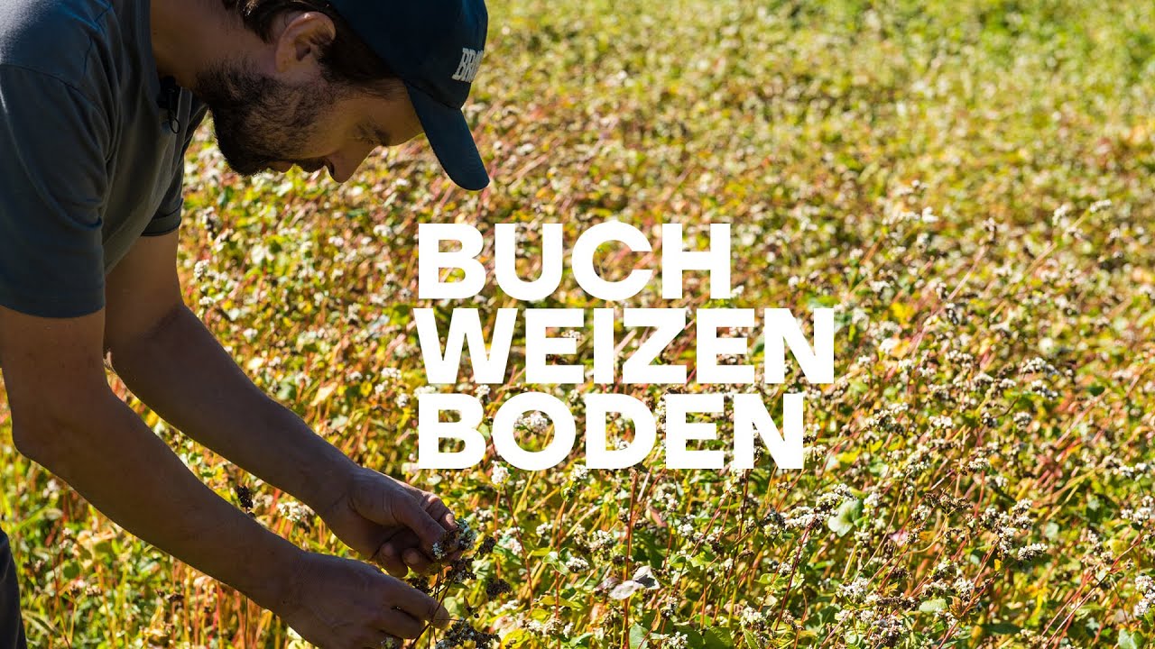 Buchweizen-Pizzoccheris aus den Bergen – Weshalb Buchweizen ein Schlüsselement der Biodiversität ist