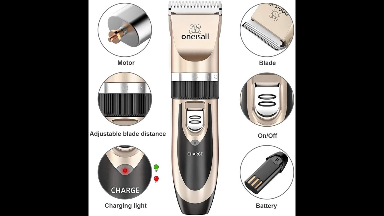 Oneisall Clipper Review