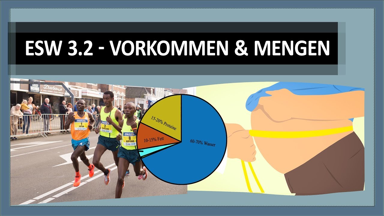 Energiestoffwechsel (4/4): Glykogen-Verschwendung, Fettreserven & Proteinabbau bei Belastung?