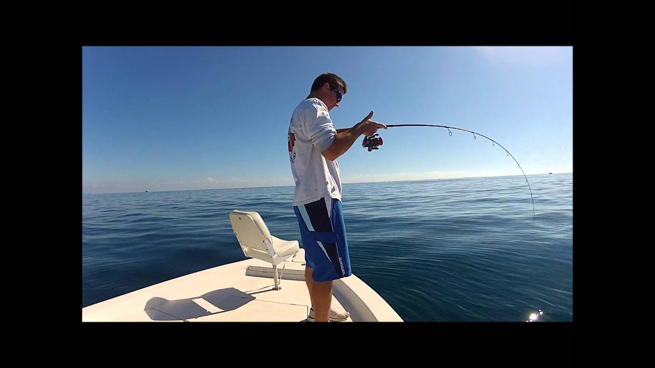 pelican flats kingfish off port canaveral