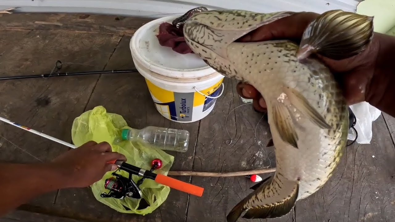 മോട്ടർ പുരയുടെ അടിയിൽ നിന്ന് പിടിച്ച.. ഒരു ഇടിവെട്ട് സാധനം..malayalam fishing video new.. 🐟🥰