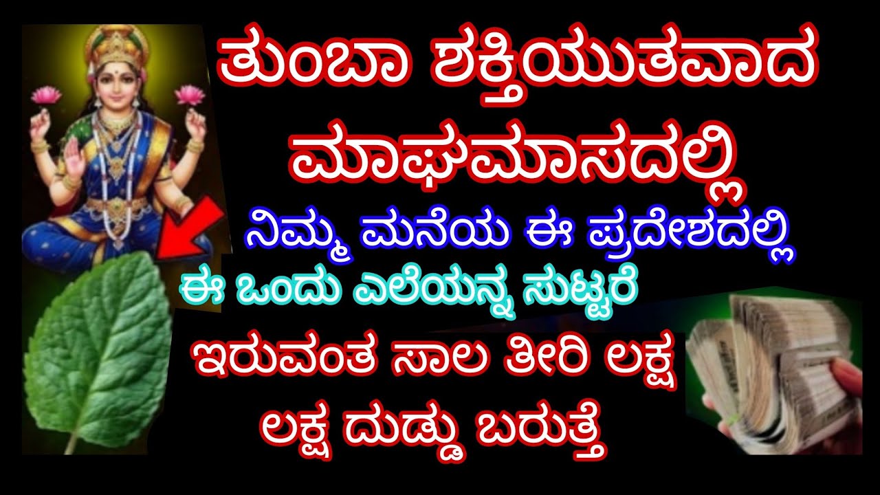 ತುಂಬಾ ಶಕ್ತಿಯುತವಾದ ಮಾಘಮಾಸದಲ್ಲಿ ನಿಮ್ಮ ಮನೆಯ ಈ ಪ್ರದೇಶದಲ್ಲಿ ಈ ಎಲೆಯನ್ನ ಸುಟ್ಟರೆ ಸಾಕು ಇರುವಂತಹ ಸಾಲ ತೀರಿ ಲಕ್ಷ