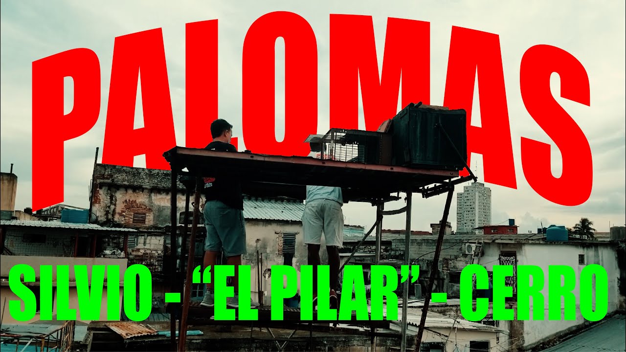 PALOMAR de SILVIO en 