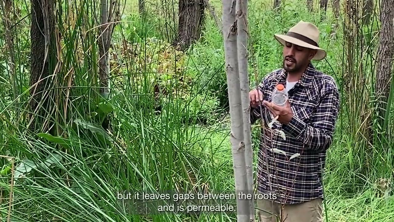 Chinampas de Xochimilco. Riesgo, patrimonio y producción sustentable en la Ciudad de México