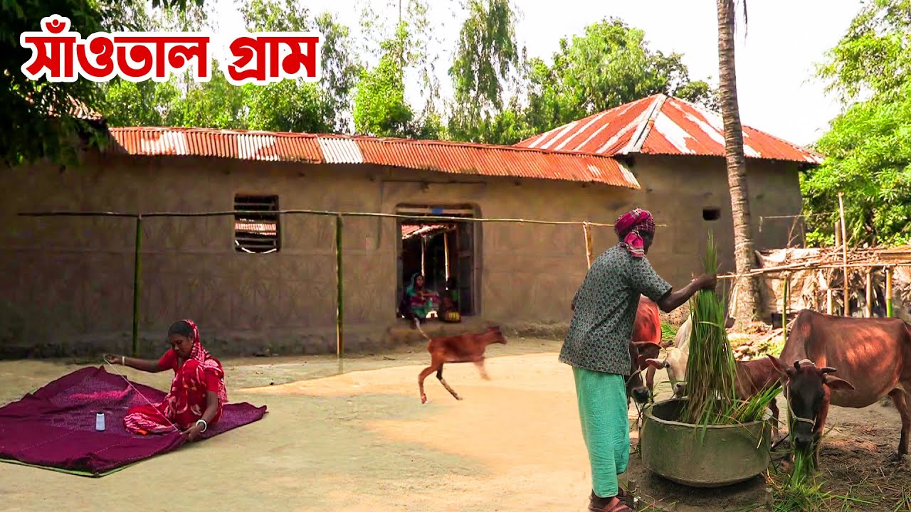 নওপা গ্রামের সাঁওতাল জীবন || Panorama Documentary