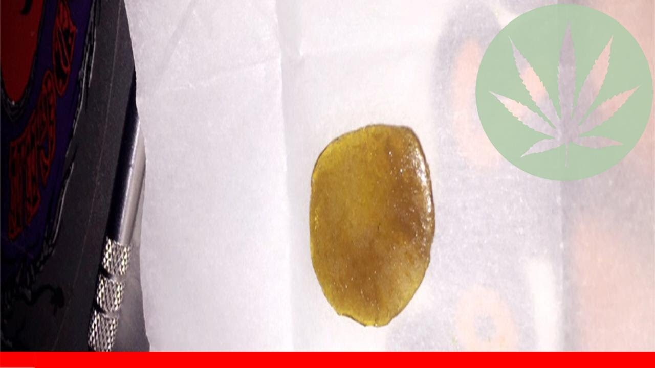 Bay Dream - All About This Strain