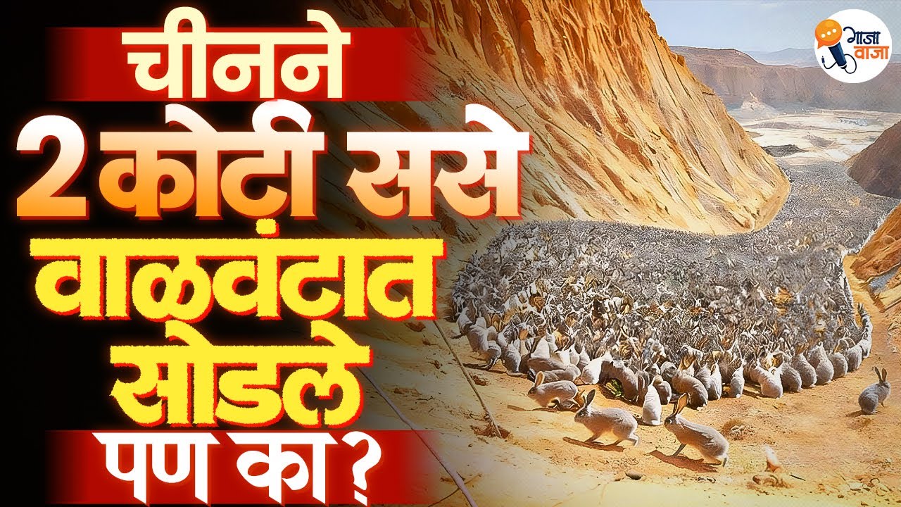 China Released Millions of Rabbits Into a Desert — The Result Changed Everything | Gajawaja