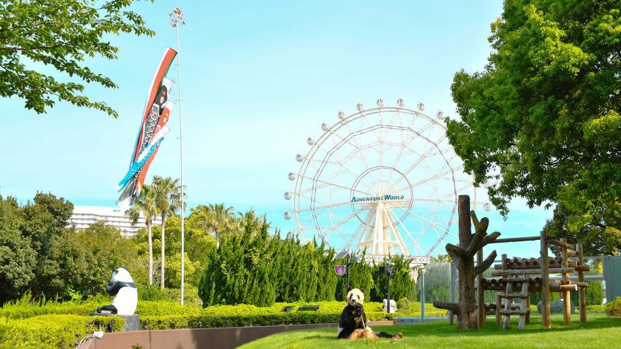 【ジャイアントパンダ（永明）】鯉のぼりが揺れる青空の下で