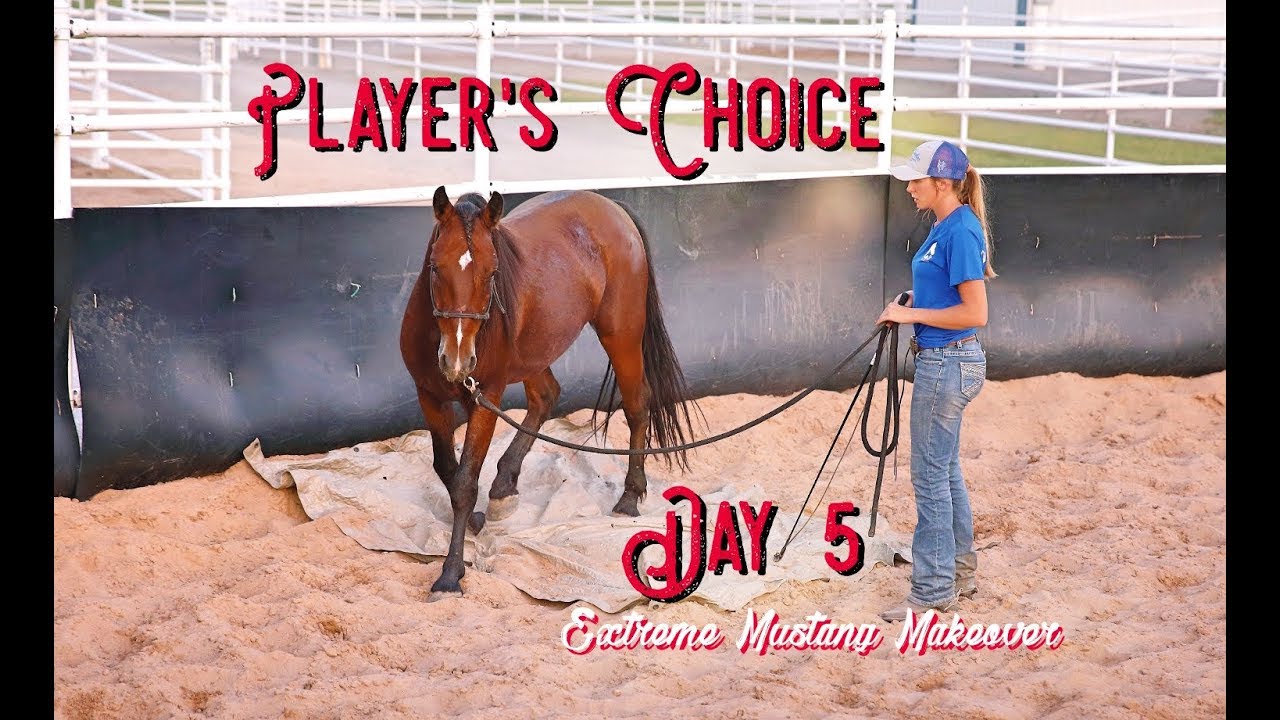 EXTREME MUSTANG MAKEOVER - Day 5 with a wild horse! | Deo Volente