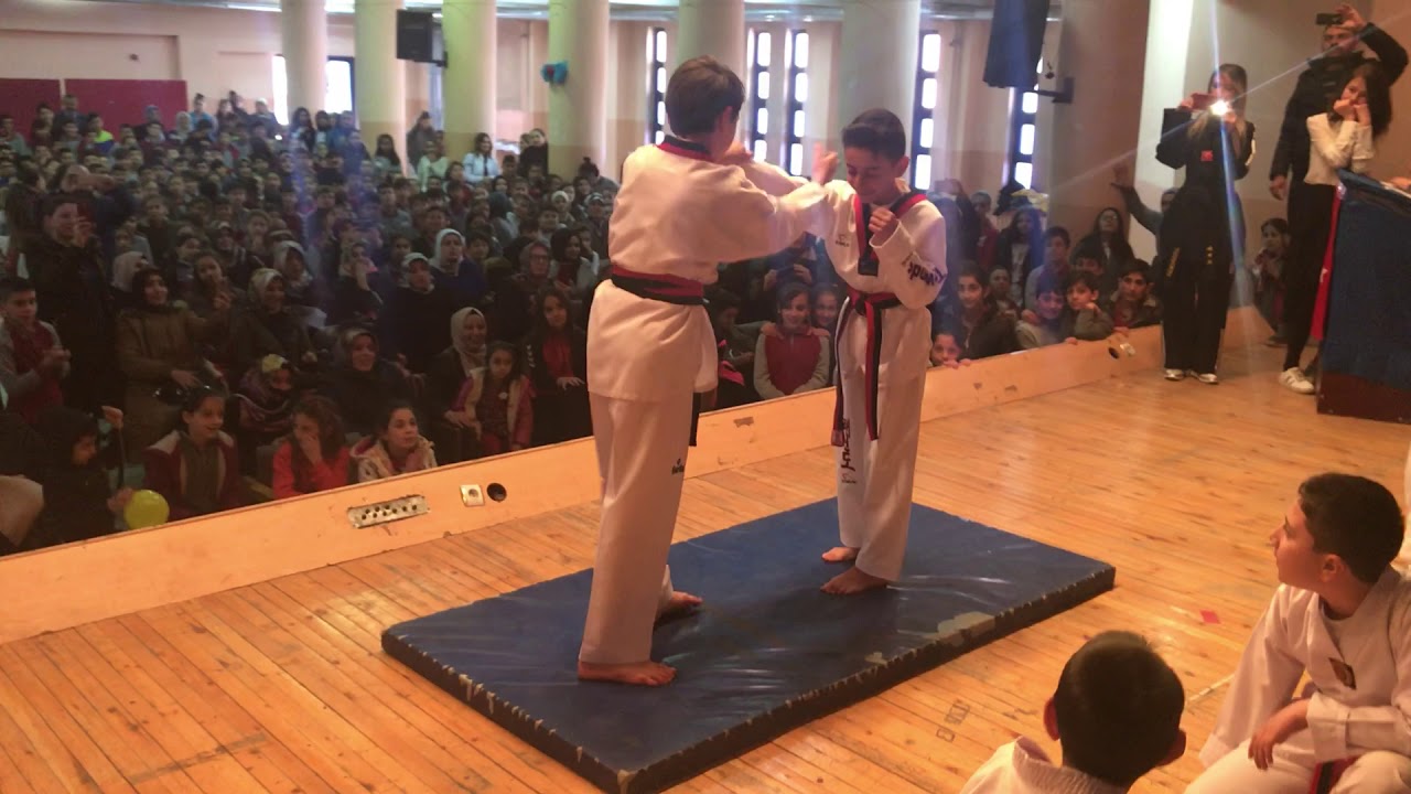 23 Nisan 2019 Gölge Taekwondo Spor Kulubü gösterisi