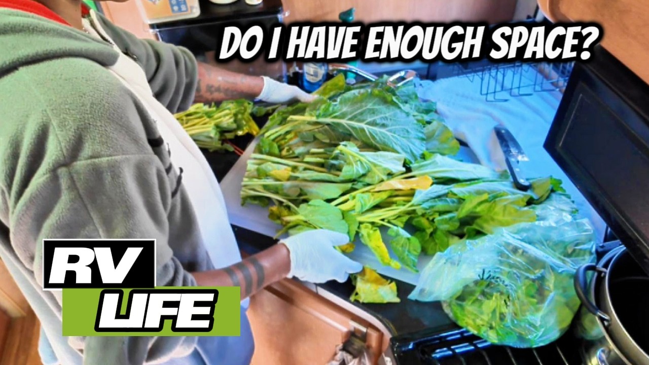Can You Really Prep Healthy Food in a Tiny RV Kitchen?