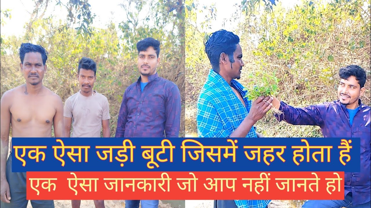 Machli marne wala jahar मछली मारने वाला जहर explore with Ajaz 