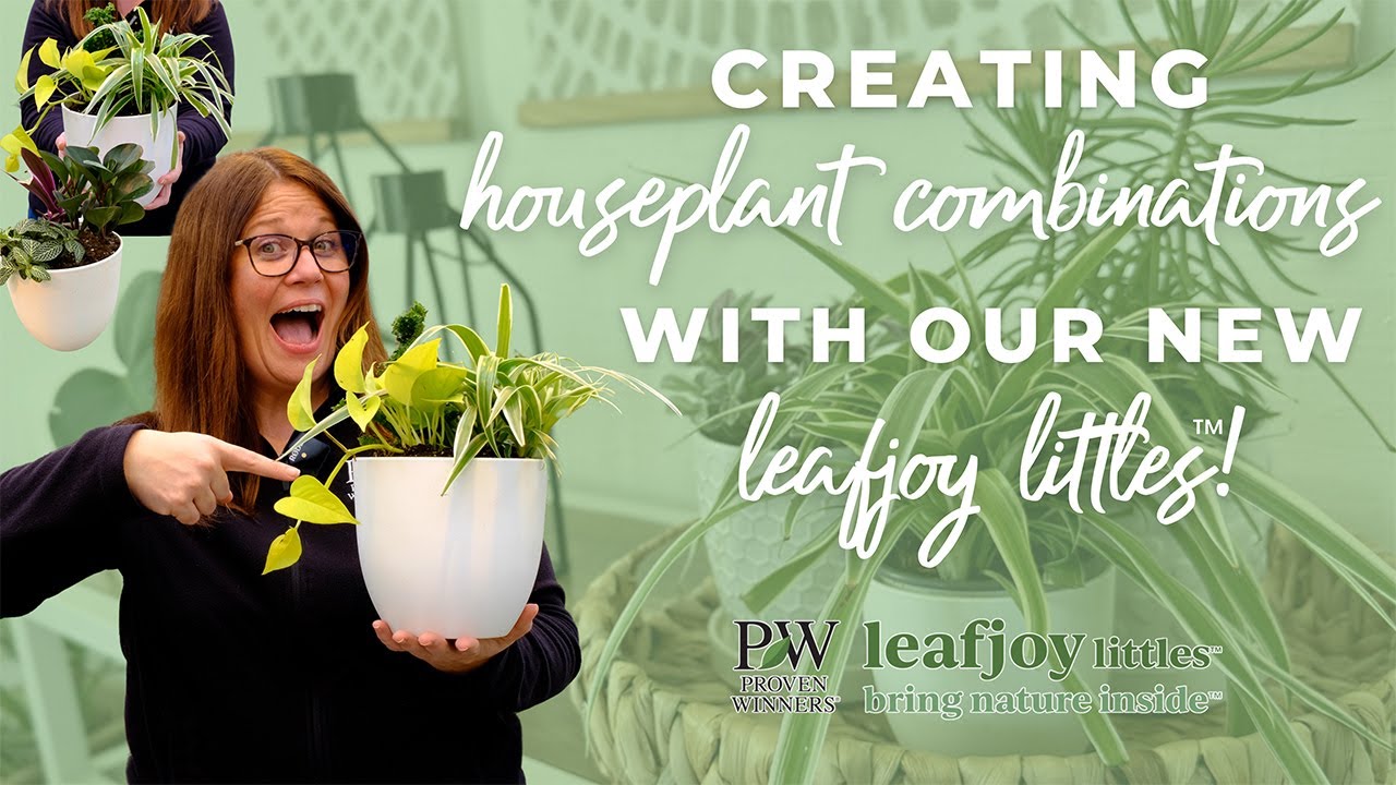 Creating Houseplant Combinations With New leafjoy littles&trade;️