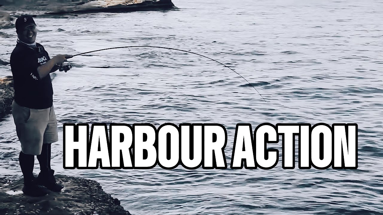 Chasing Harbour Pelagics&hellip; This Hit Was Solid