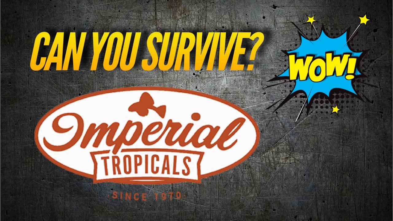 IMPERIAL TROPICALS SURVIVES Aquarium Fish | Jay Wilson