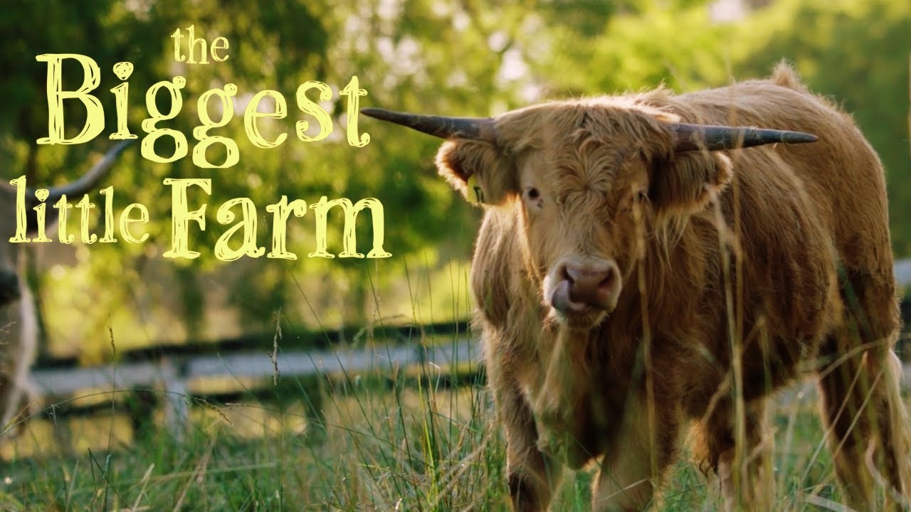 Hope Grows Here | The Biggest Little Farm