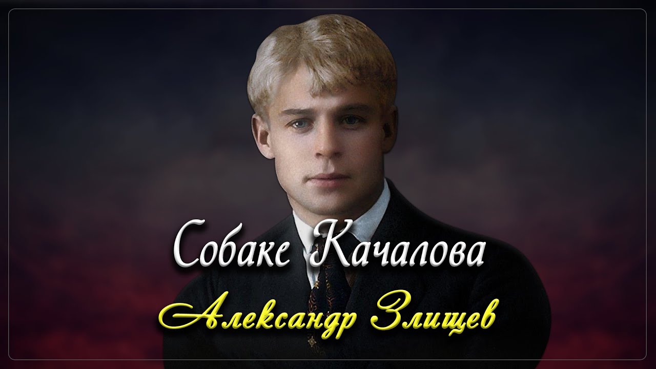 Собаке Качалова - Сергей Есенин (читает Александр Злищев)