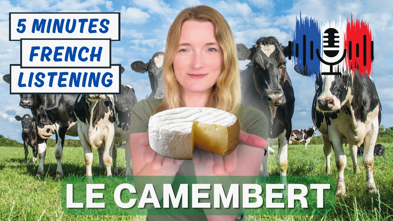 Le camembert 🧀 |  Slow French for B1 B2 French Learners