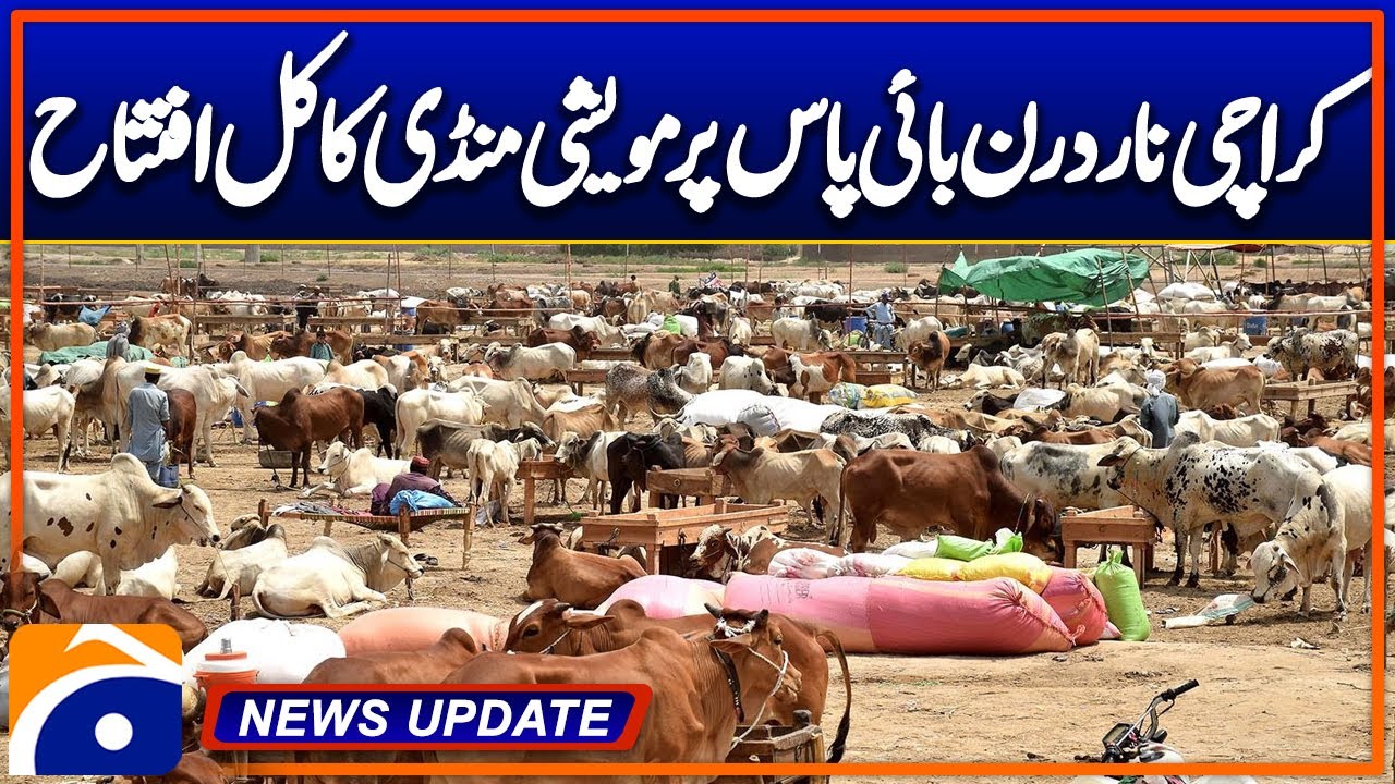 Cattle market to be inaugurated on Karachi Northern Bypass tomorrow | Geo News 6:30 PM Updates