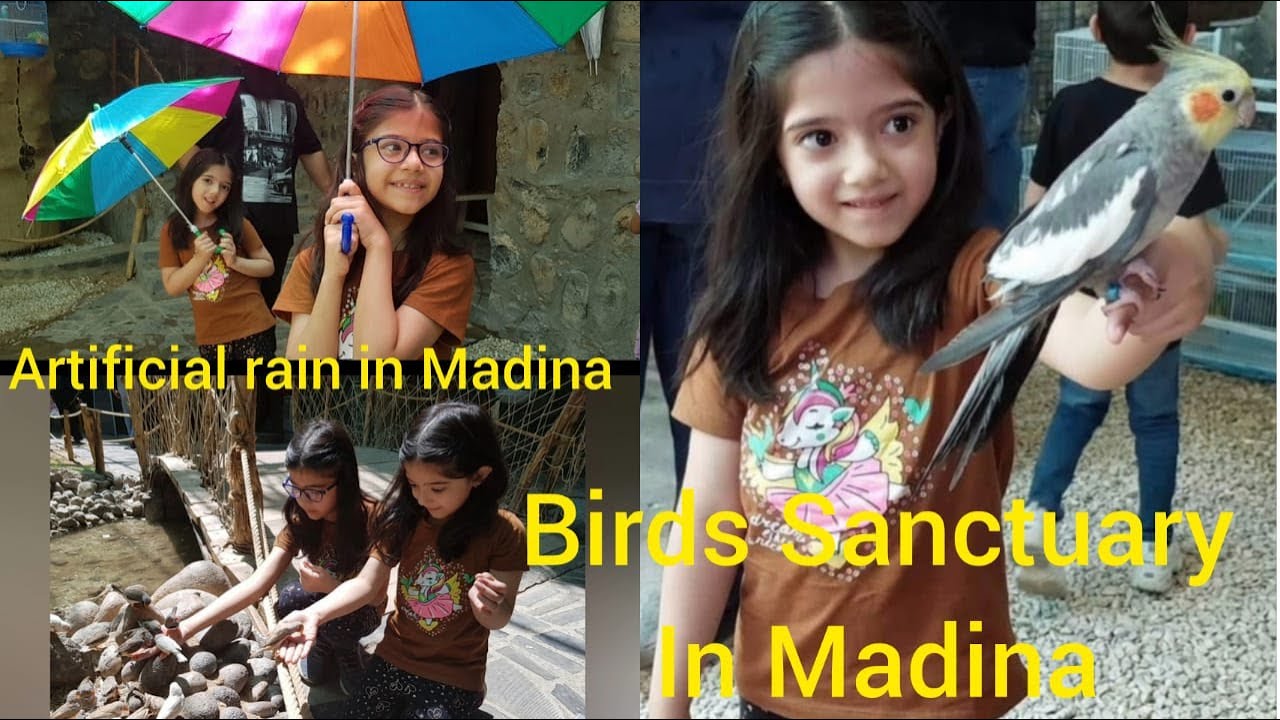 Bird sanctuary Madinah | Al Ossia Sanctuary | artificial rain in madinah bird sanctuary