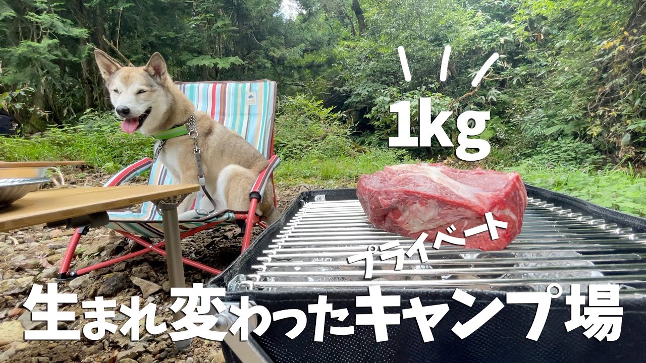 【プライベートキャンプ場🏕】新しく生まれ変わったキャンプ場で肉の塊を焼いて来ました🐶🥩