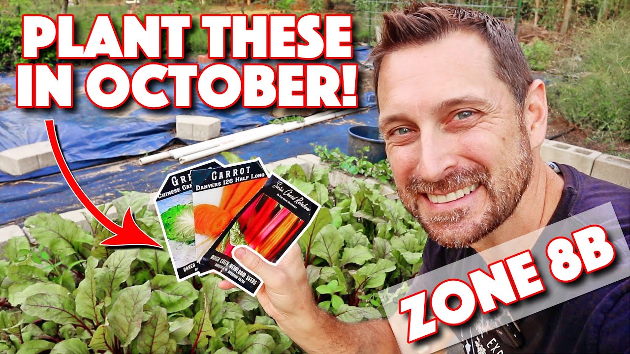 Perfect Vegetables To Plant In October In Zone 8b!