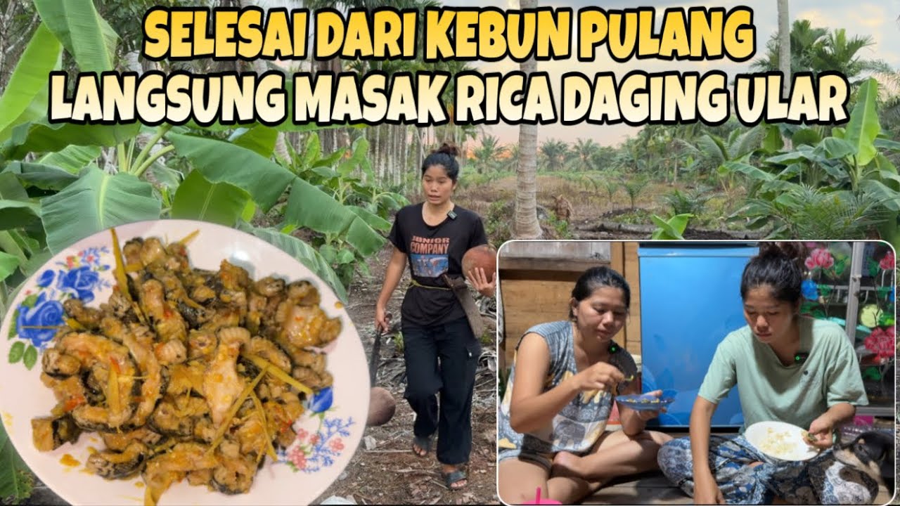 PULANG DARI RUMAH PONTIANAK LANGSUNG KE KEBUN DAN LANJUT MASAK RICA RICA DAGING ULAR