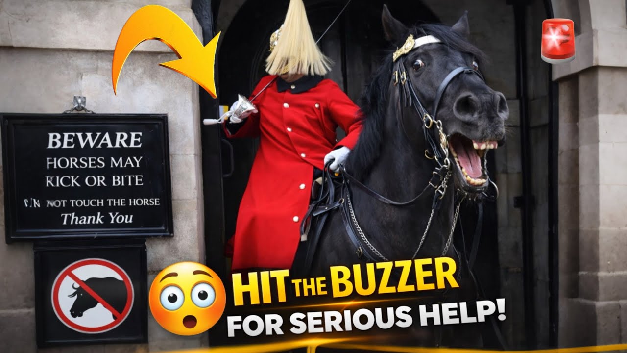 KING'S GUARD PRESSES EMERGENCY BUTTON HARD FOR THIS! | Horse Guards London