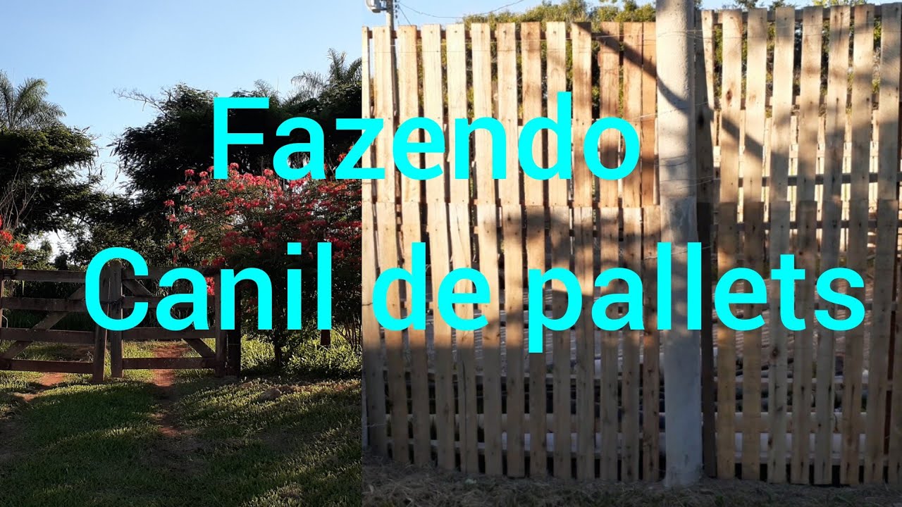 fazendo canil de pallets