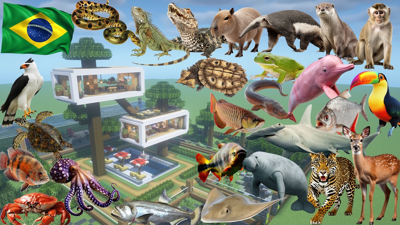 How To Make a Brazil Animal Farm in Minecraft PE