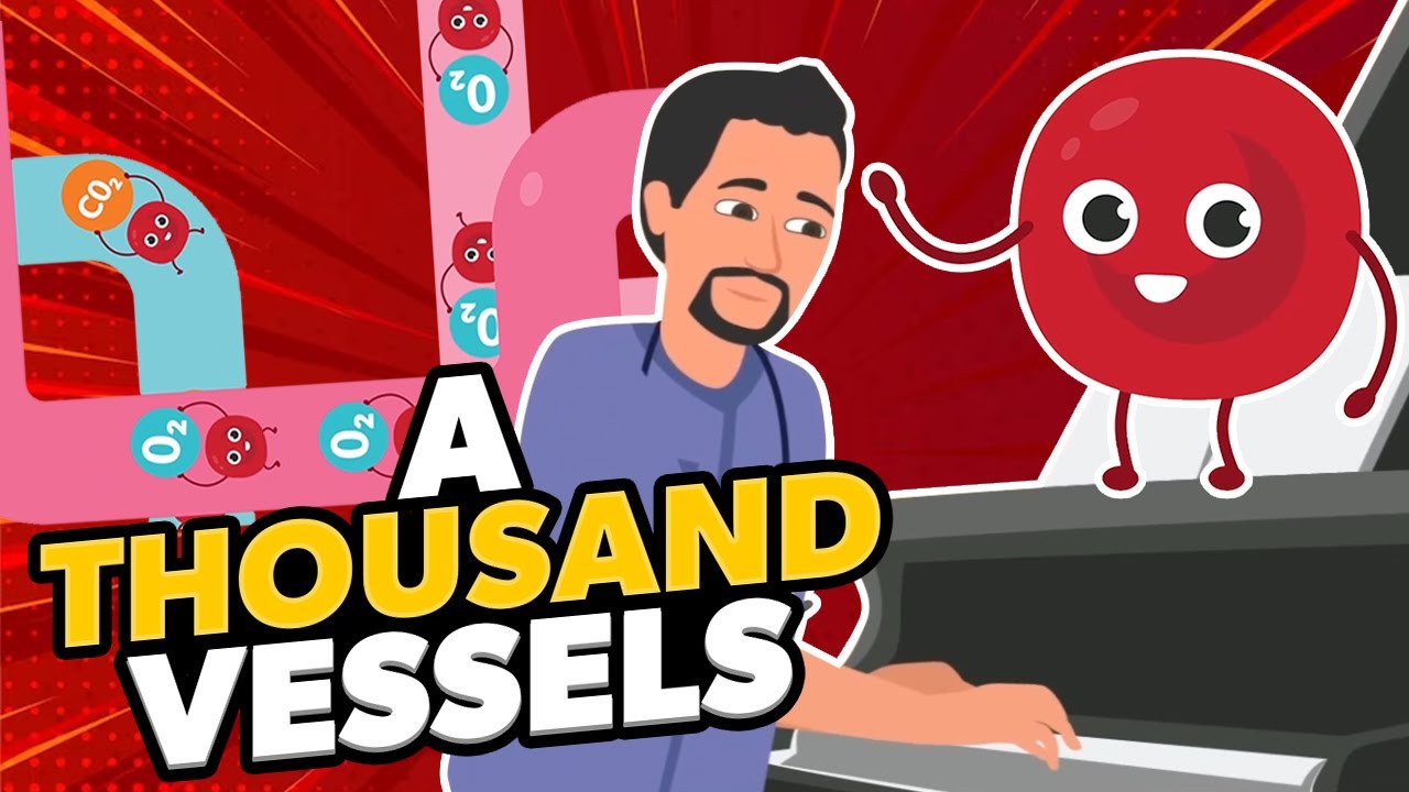 A Thousand Vessels | Nurse Mike's Memory Music for Nursing Students