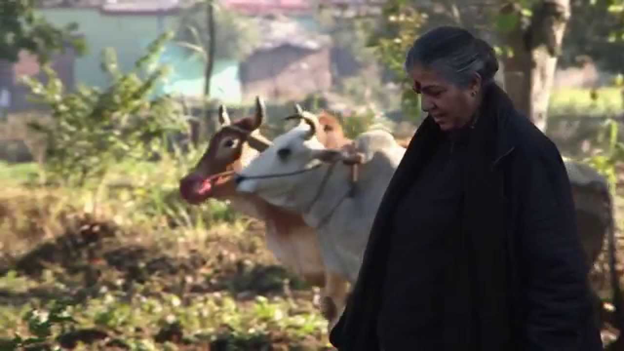 Clips from The Seeds of Vandana Shiva