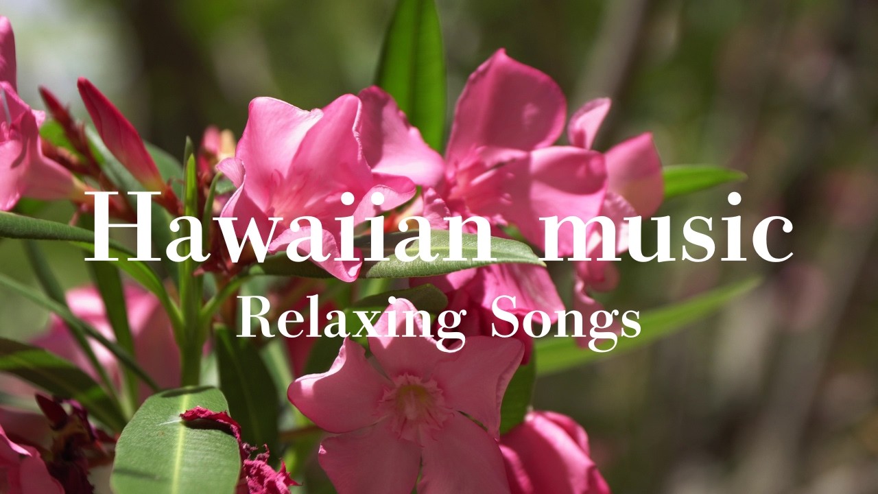 Hawaiian Music 🌴 Gentle Female Vocals 🌺 Relaxing BGM for Work, Driving & Chill | Playlist