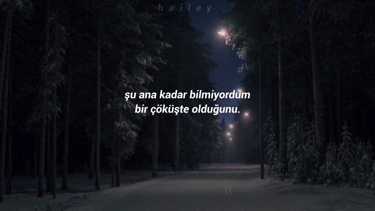taylor swift- forever winter (türkçe çeviri)