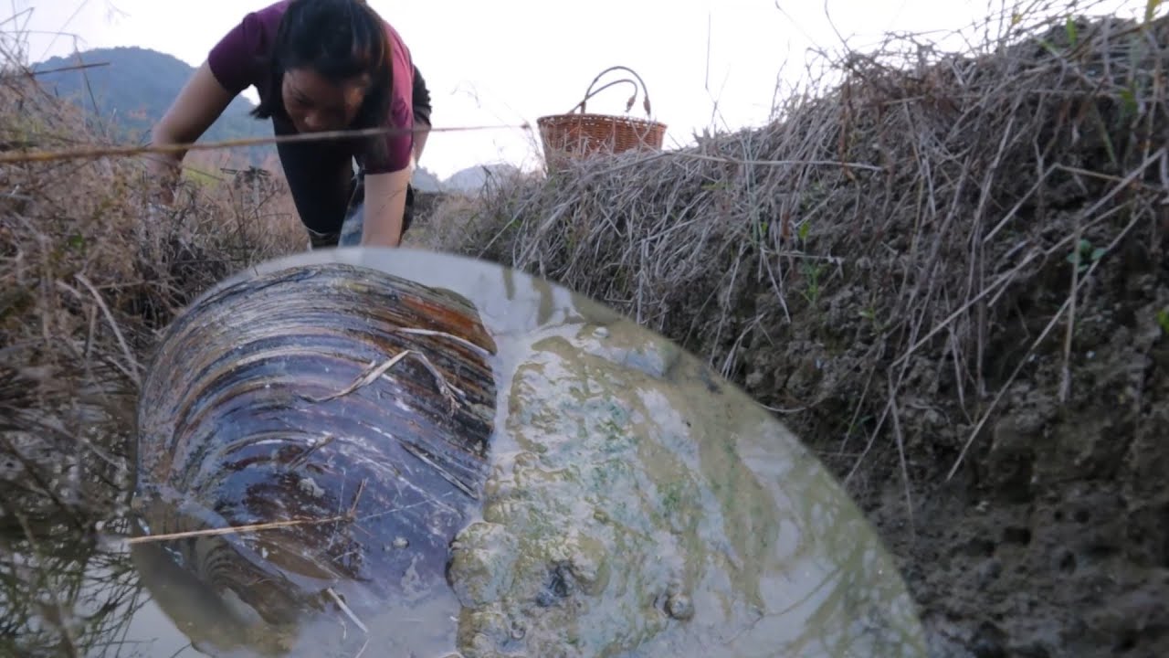 Open a clam shell to pick pearls. The shell is larger than the head and contains 200 pearls