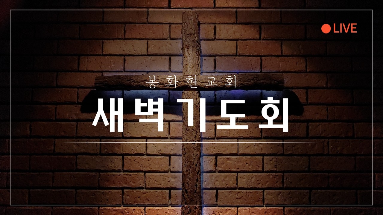 2026년 2월 12일 새벽기도회 봉화현교회 차원영목사