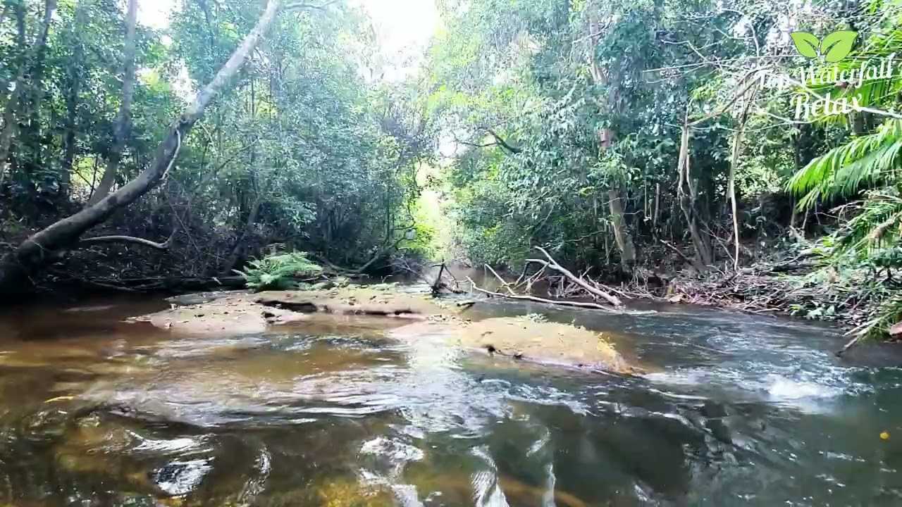 Episode 76: Soothing Relaxing Water Sounds | White Noise Around 1 Hour.