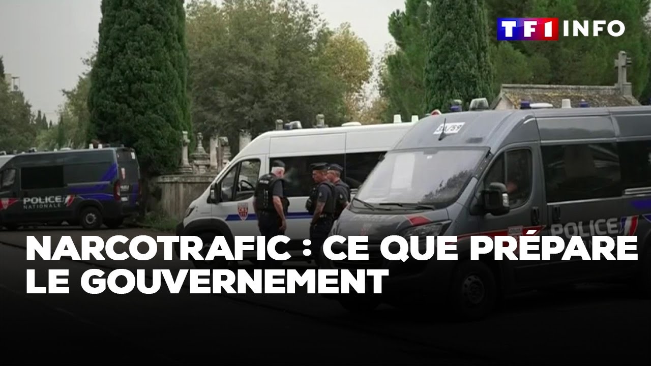 Narcotrafic : ce que prépare le gouvernement｜TF1 INFO