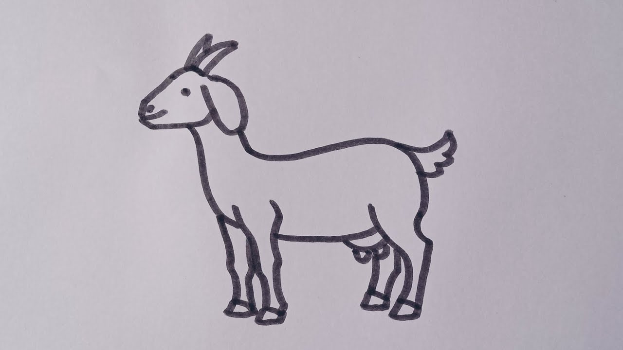 How to draw a Goat 🐐||Easy drawing step by step.