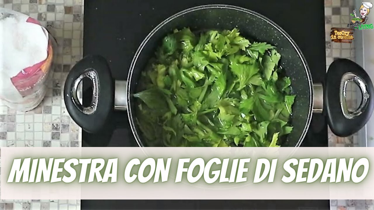 𝑴𝑰𝑵𝑬𝑺𝑻𝑹𝑨 𝑪𝑶𝑵 𝑭𝑶𝑮𝑳𝑰𝑬 𝑫𝑰 𝑺𝑬𝑫𝑨𝑵𝑶 | 𝒊𝒍 𝒈𝒖𝒔𝒕𝒐 𝒅𝒆𝒍𝒊𝒄𝒂𝒕𝒐 𝒄𝒉𝒆 𝒏𝒐𝒏 𝒕𝒊 𝒂𝒔𝒑𝒆𝒕𝒕𝒊