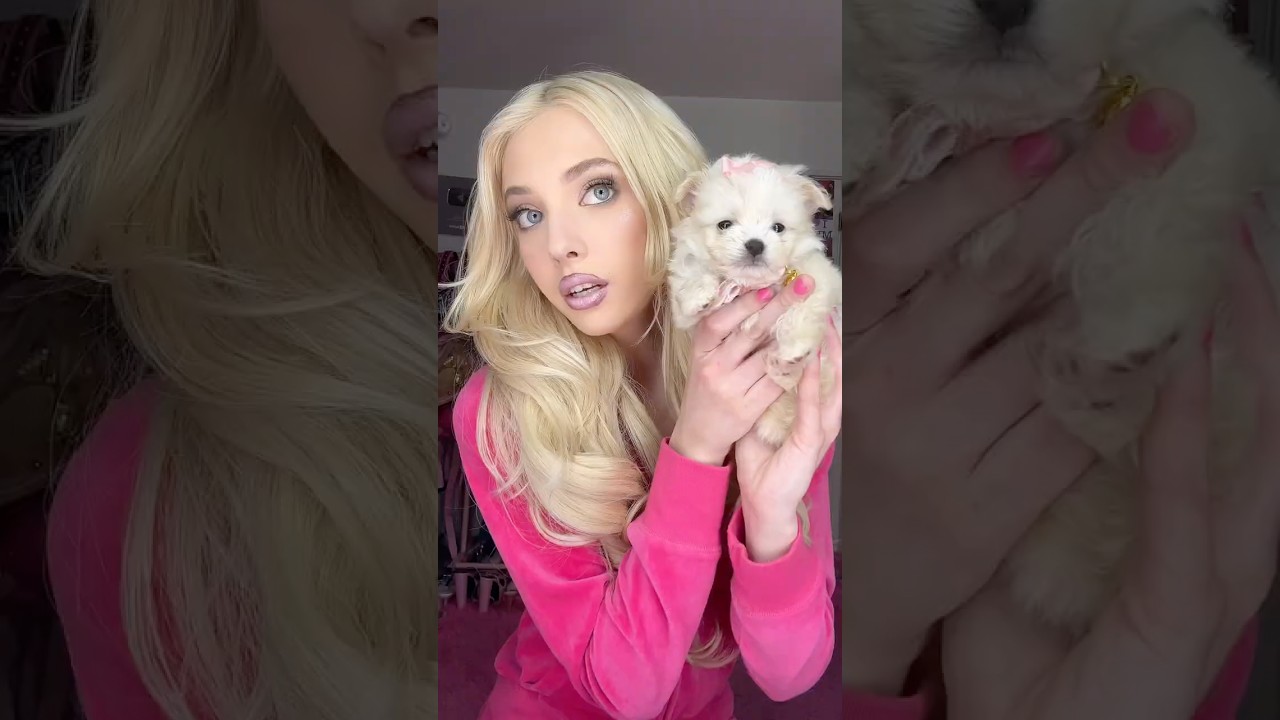 grwm и мой новый щенок
