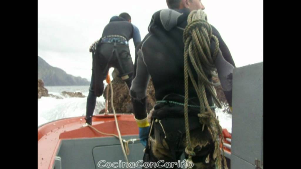 Percebeiros de Cariño - Ortegal - Galicia, Verano 2011