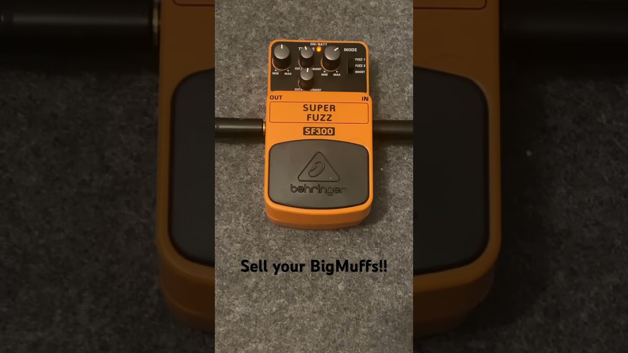 Budget Fuzz Pedal #behringer #sf300 #guitar #electricguitar #effectspedals #guitarpedal #fuzzpedal