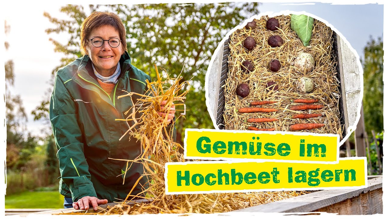 ERDMIETE IM HOCHBEET: So lagerst du dein Gemüse im Herbst und Winter 🥕