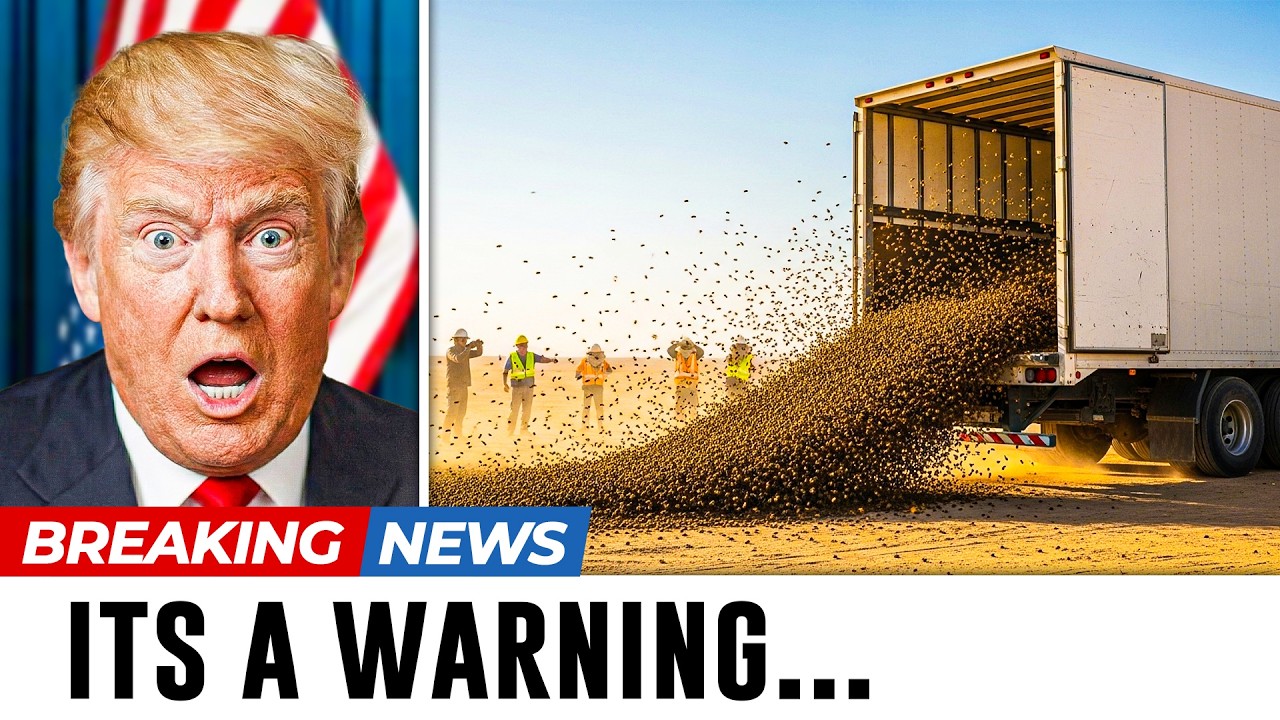 Nevada Releases Millions of Bees Into Desert &ndash; Results After 1 Month Shocks the World