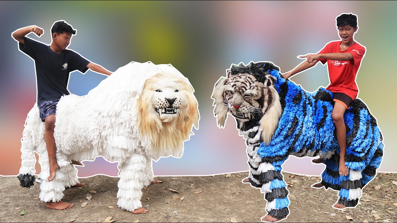 KEREN‼️ BATTLE BARONGAN CAN MACANAN VS SINGO PUTIH | BANTENGAN | SAPI