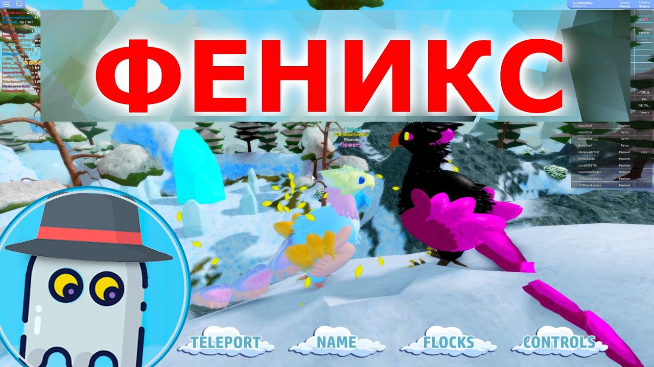 🐤 ФЕНИКС 🐦СЕМЬЯ ПТИЦ - 🦉 - Feather Family Roblox (Симулятор Птиц) 🐦Phoenix - РОБЛОКС