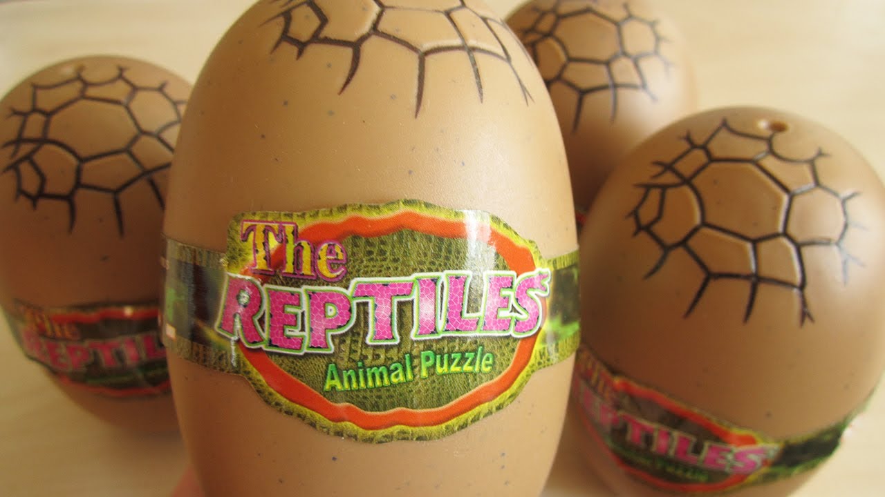 Reptile 3D Puzzle Surprise Eggs!