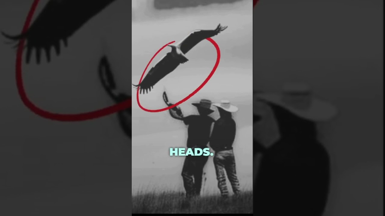 Thunderbird: The Giant Bird that Created Thunderstorms #AmericanMythology #cryptids