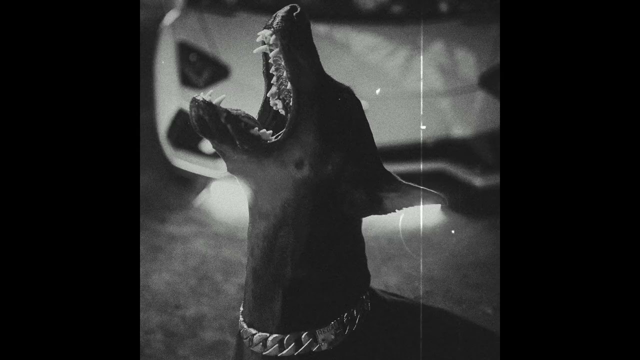 [FREE] XXXTENTACION X ZILLAKAMI X ALTERNATIVE ROCK TYPE BEAT 